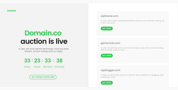 Domain For Sale Parking Template