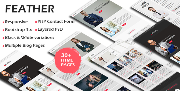 FEATHER - Multipurpose Responsive Personal Portfolio, Resume One Page HTML Template