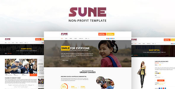 SUNE Non-Profit Template