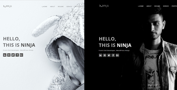 Ninja - One Page Personal Portfolio Template