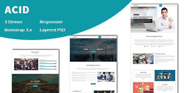 Acid - Multipurpose Responsive One page HTML Template