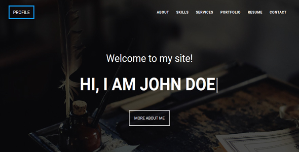 Profile - One Page CV/Resume/Portfolio Template