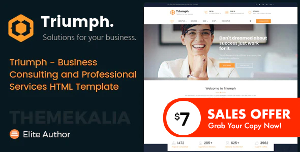 Triumph - Business Consulting and Professional Services HTML Template