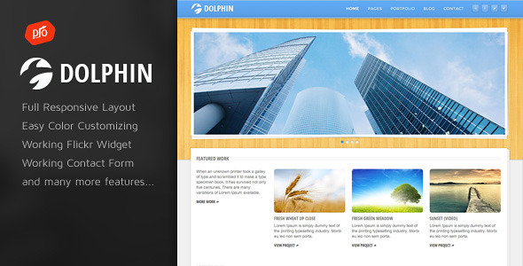 Dolphin - Responsive HTML Template
