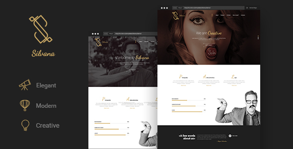 Silvana - Creative Onepage Agency Template