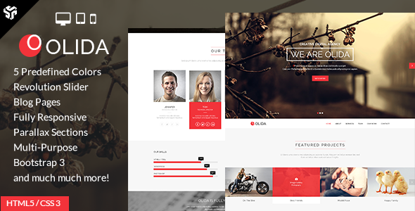 Olida | Responsive One Page Multi-Purpose Parallax