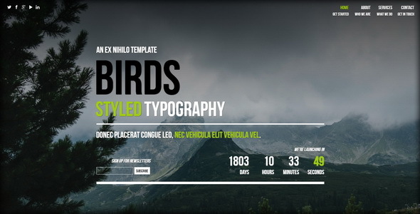 Birds || Responsive Coming Soon Page